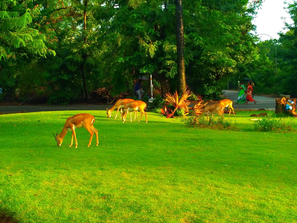 IIT Madras
